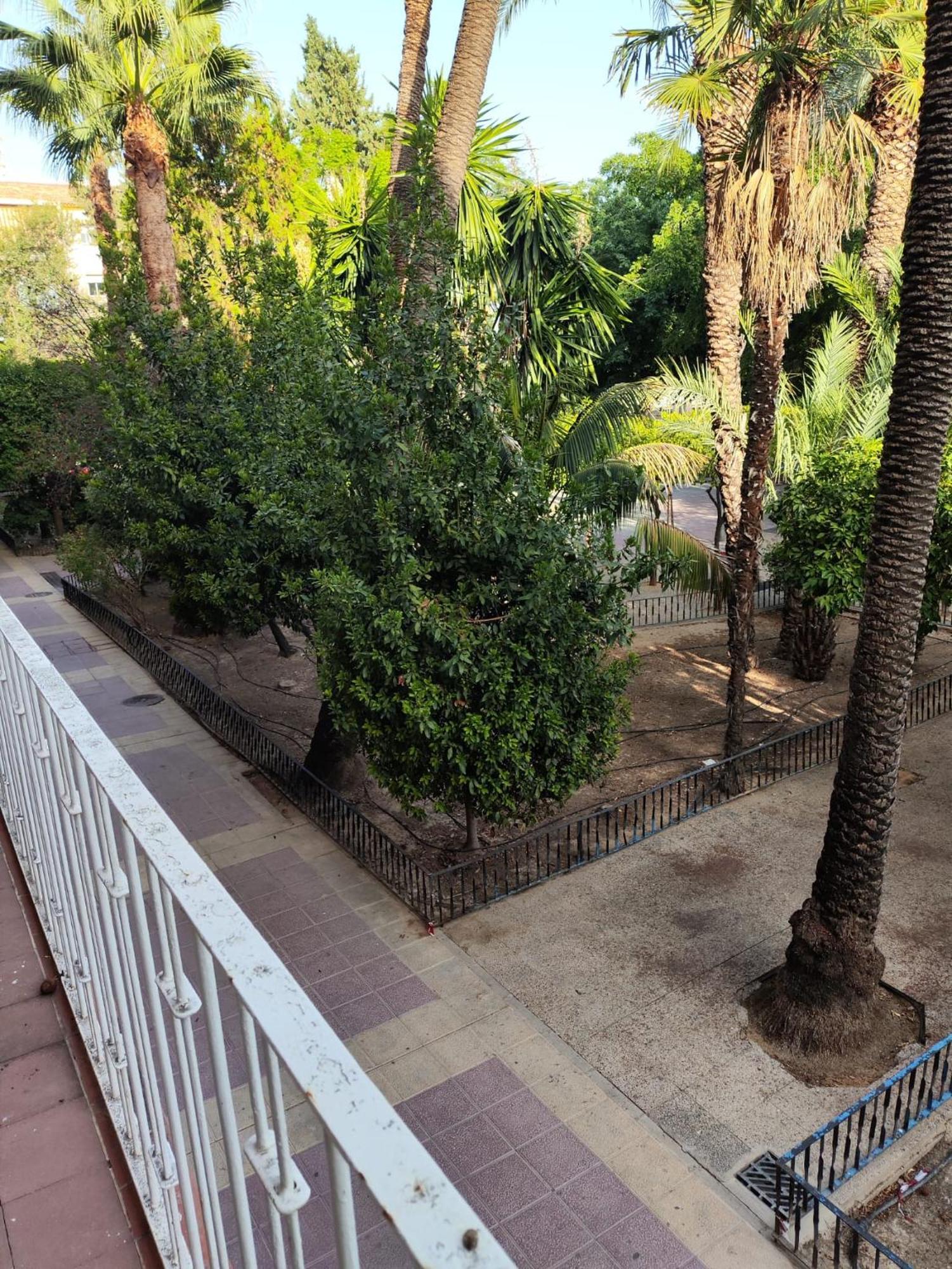 Vistabella Deluxe Centro Ciudad Fica & Auditorio Μούρθια Εξωτερικό φωτογραφία